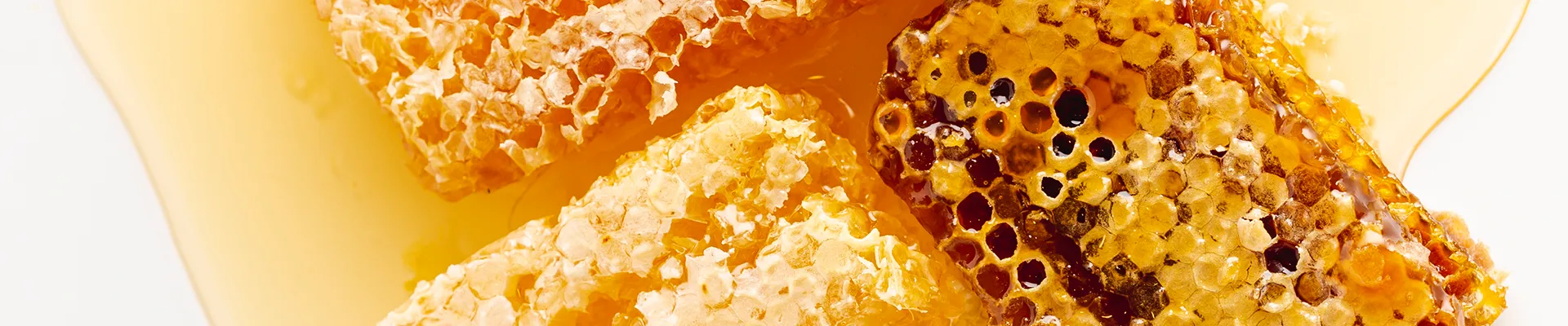 ESI Propolaid PropolGola